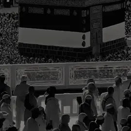 hidup adalah pilihan #ngaji #ngajibareng #ustadzabdulsomad #hijrah #fyp 