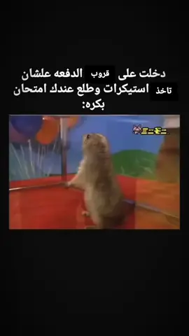 #explore #الشعب_الصيني_ماله_حل😂 #مليون_مشاهدة❤ #الوطن_العربي_تيك_توك #الشعب_الصيني_ماله_حل😂😂 