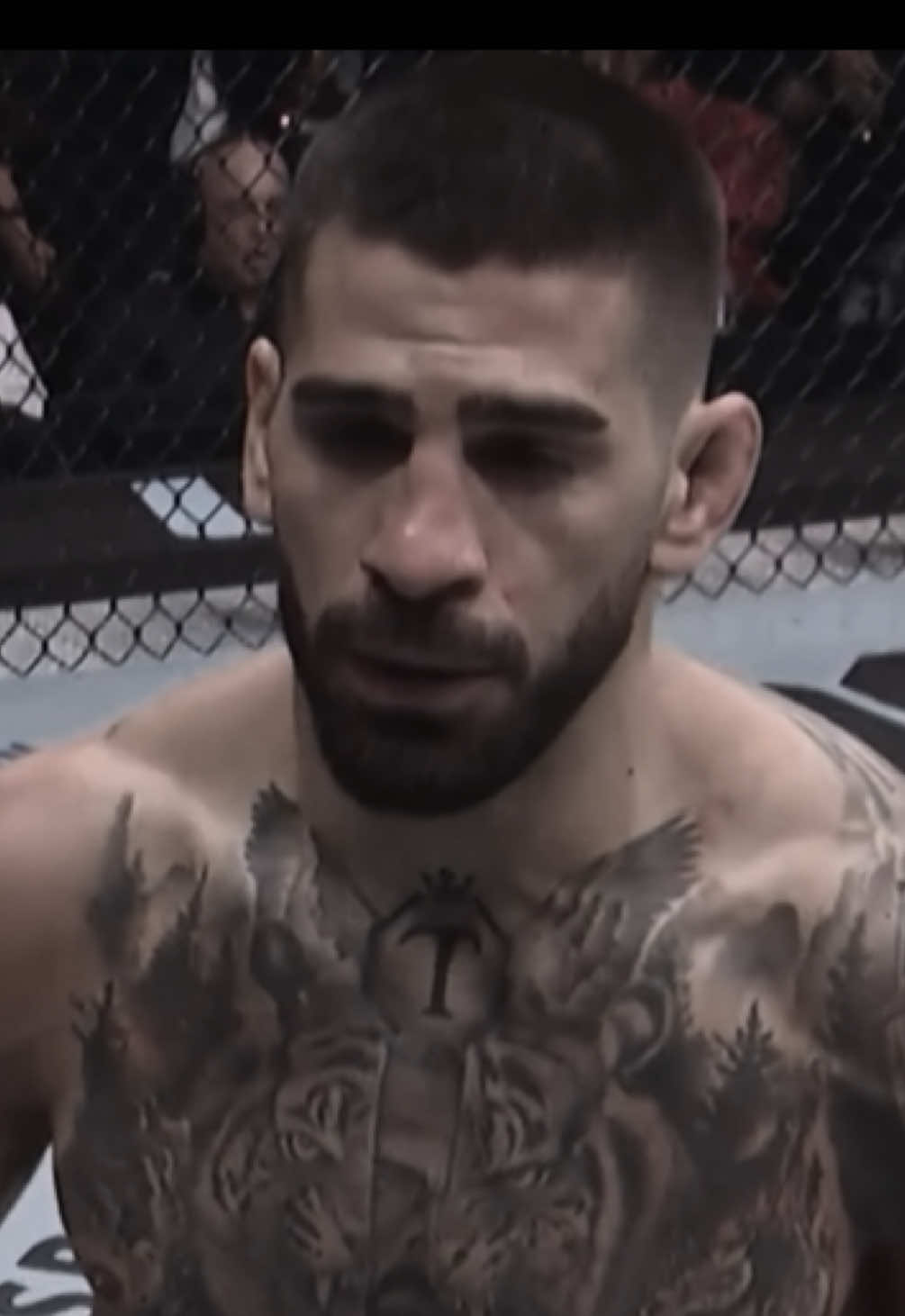 The UFC Champions of today are scary good #UFC #ufcchampions #mma #edit #aura 