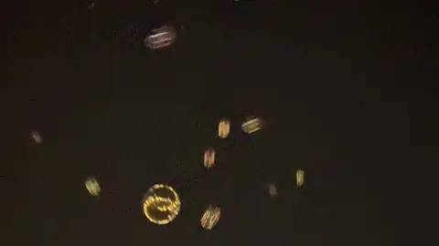 Thankful for grounding moments that feel like a deep breath