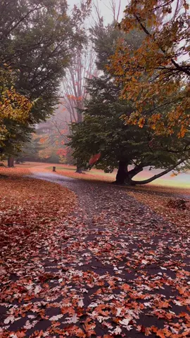 October 2022 🤎🍁 #fall #fyp #autumnvibe #autumn #autumnvideos 