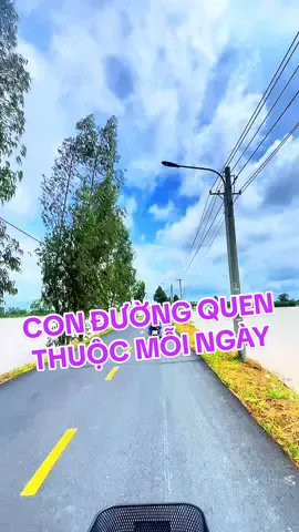 Còn nợ mãi.... #cautucantho #cantho #canhdep #mientay #xuhuong 