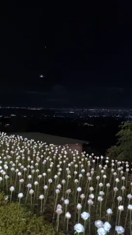 somewhere in rizal#citylights #foryoup #veiw 