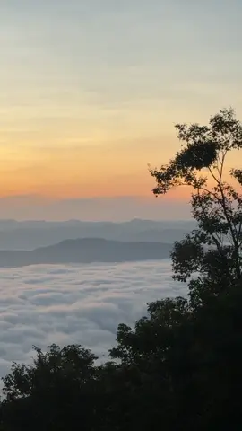 หมอกยามเช้า #ดอยเสมอดาว #น่าน