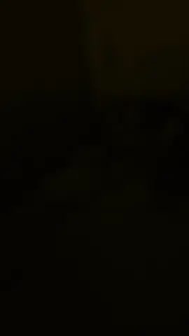 #CapCut 