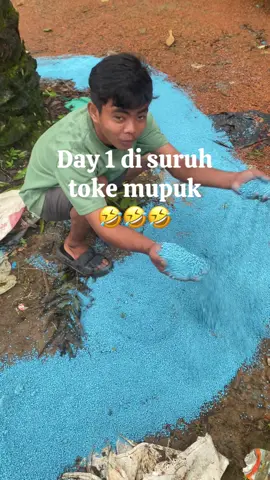 ketika para musang birahi di suruh toke mupuk🤣🤣🤣🤣 #fyp #fyppppppppppppppppppppppp #kuli #sawit #top 