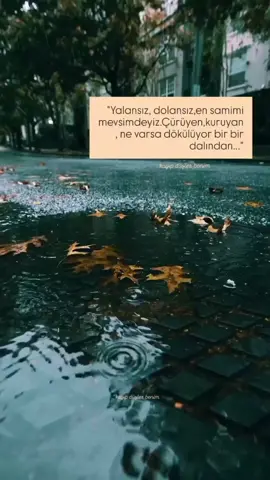 #🥰🌹❤️🙏☕️🌺  #kısıtlamalarıkaldırtiktok  #keşfetbeniöneçıkar 