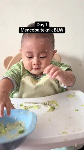 #blw #mpasi #mpasihomemade #bayi6bulan 
