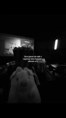 Si? #besos #salir #cita #amor #megustas 