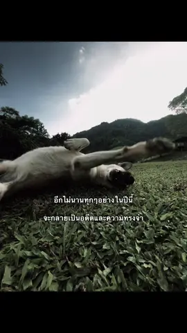 #เธรดคําพูด 