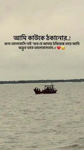 আমি কাউকে ঠকানোর..!! জন্য ভালোবাসি নাই 