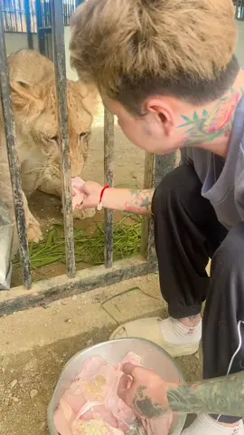 พงษ์บอกฟิน🥰#เกมส์กลบเกลื่อน🥰🥰🥰 #เกมส์สนุกสนาน #เกมส์น่ารัก #เกมส์เอง 