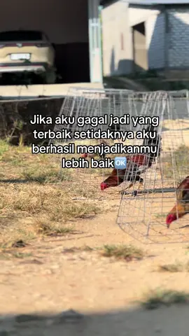 🥶#fyppppppppppppppppppppppp #mskberanda #foryoupage #xybca #bismillahfyp 