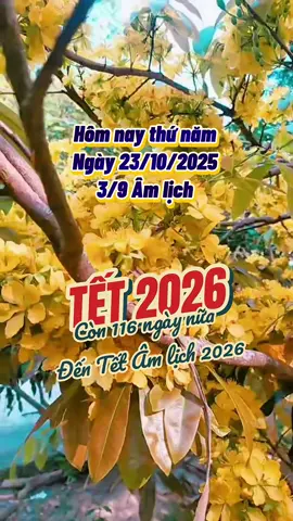 Chỉ còn 116 ngày nữa là đến Tết Âm lịch 2026 #naotoitet #tet2026 