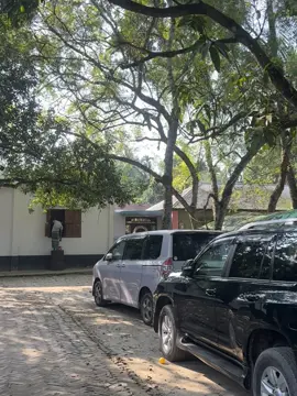 Family pack😎#safi #foryou #throttle #premio 