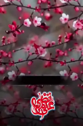 #zahra#ka#wo_shohar#ha#foryou 