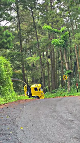 #selfloader #fyp #promoseruweekend 