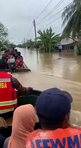 Penampakan buaya ketika banjir 🐊🐊 #fyppppppppppppppppppppppp  #trending  #wildlifechaos 