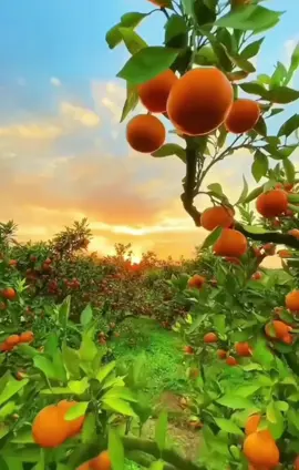 #راحه_نفسيه 