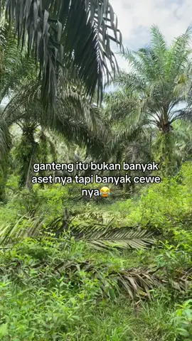 di ketawain lh aku sama yang banyak cewe nya🤣