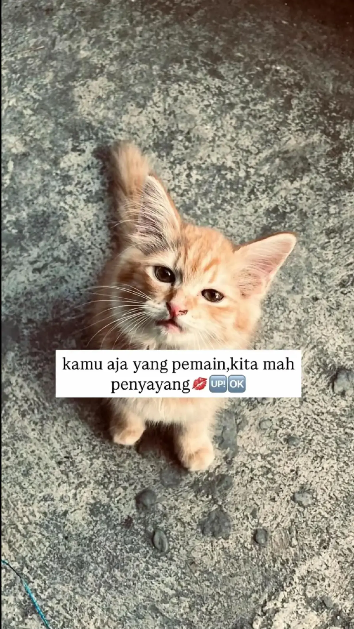 bulenya Poso 🤣🗿🗿