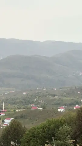 #samsun #çarşamba #Kabaceviz