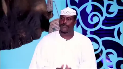 #مشاهير_تيك_توك_مشاهير_العرب🌺💜  #الشاعر_محمد_ودالبلوله  #متابعه_ولايك_واكسبلور_فضلا_ليس_امرآ  #جخو،الشغل،دا،يا،عالم،➕_❤_📝اعادة_نشر  #محظور_من_الاكسبلور🥺 