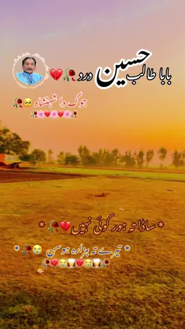 * تیرے تہ ہزارہ ہوسن ساڈا تہ ہور کوئی نہیں * #سنگت_ویڈیو_وائرل_کریسو_آپ_ہیں🥀🌼🙈✨🎇 #جوگ_دا_شہنشاہ #باباطالب_حسین_درد❤️🥀💔 #growmyaccount #foryou 