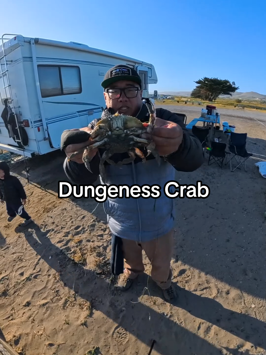Not every pull is a keeper but at least the Dungeness Crab are still going for my bait mix. . This was filmed back in April 2025. . Rod: Daiwa 12ft Beefstick Med Heavy 2 pc Reel: Daiwa BG 6500 Line: KASTKING MEGA 8 - 80 lb braided line Snare: Crabslayer Reaper Bait: Smelt, chicken, & squid . 📍Lawson's Landing, CA . 🎥 Insta360 X5  . @insta360 official @adobevideo .  #dungenesscrab #crab #crabs #crabbing #fishing 