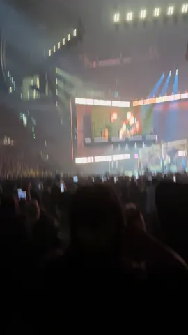 Seeing the @jonasbrothers live in concert in Tampa was a dream!!! Hearing my favorite song (When You Look Me In The Eyes) live at the end of the night healed something in me!! My 12 year old self is totally freaking out!!❤️🥰😍 #jonasbrothers