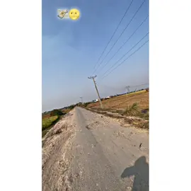 #foryou👀🦋🌾🥀 💸🌝