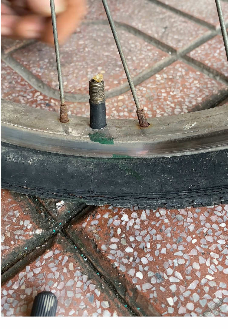 Chỉ một viên sỏi- xe đập tự bơm căng ngay trong 5s.#meo #meovat #cuocsong #fyp #xuhuong