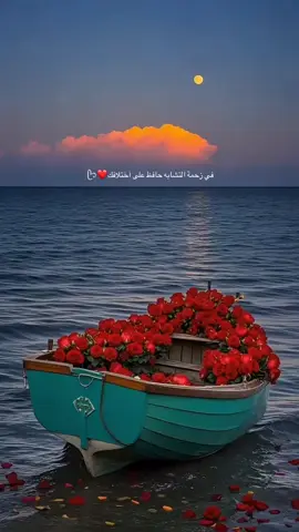 #اكسبلورexplore