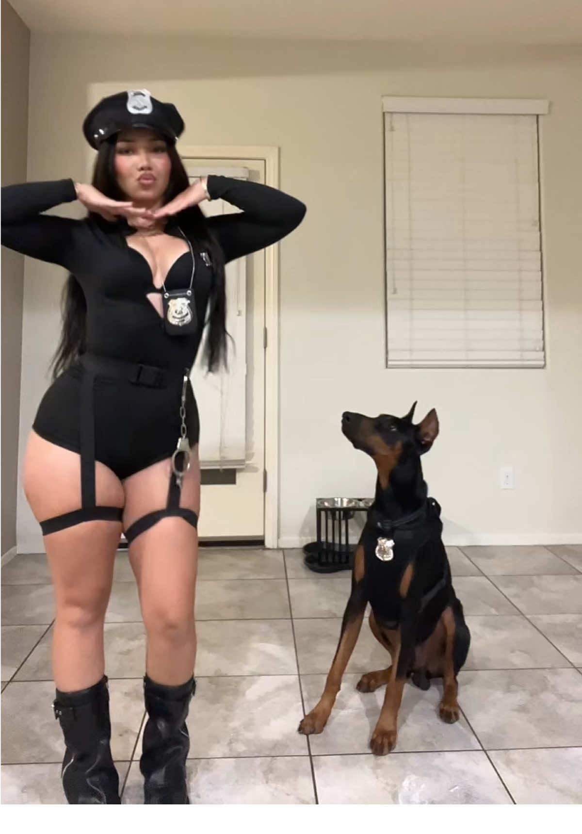 🖤 #halloween #fyp #doberman #costume #k9 