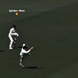 Spider-man Catches 🔥👽  . . #cricket #babarazam #foryoupage #foryou #cricketlover 