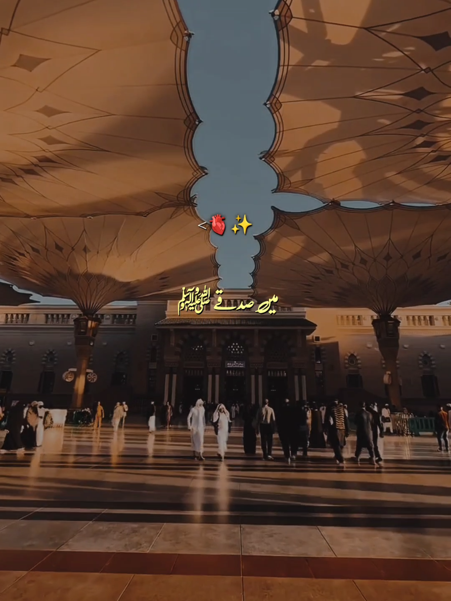 #Kamliwalemuhammad #treanding #naatsharif #islamic #status 