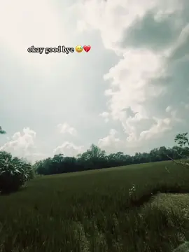 okay good bye 😅💔#capcut #catsoftiktok #foryoupage #viraltiktok 