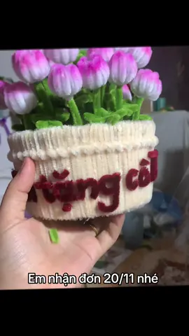 Hoa kẽm nhung tặng thầy cô 20:11 #xuhuongtiktok #hoa #kemnhunghandmade #20thang11🐰 