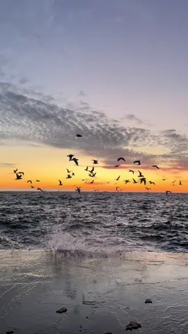 #blacksea #goodmorning 