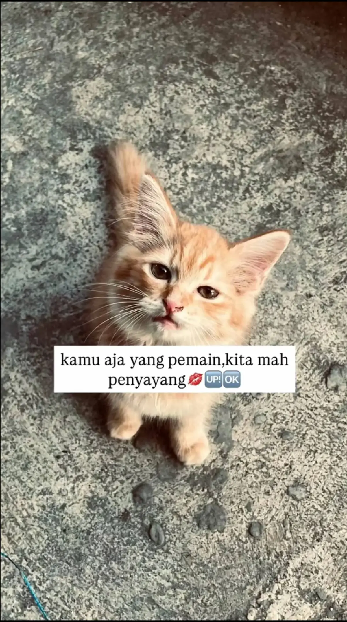sayanggg abanggg