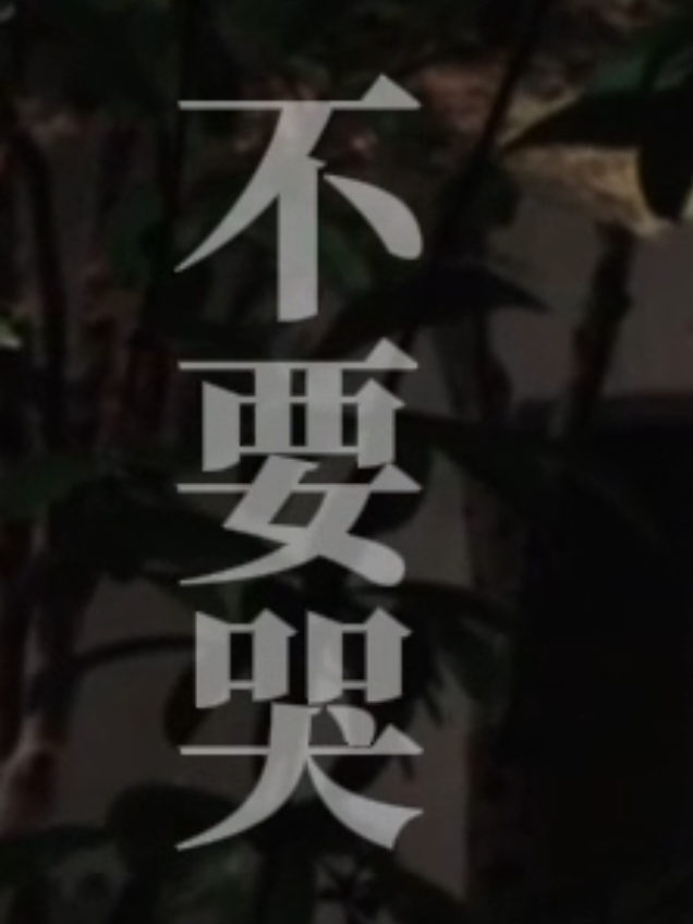 BGM: Đừng Khóc - Hà Thiên Vân (不要哭 - 何天韵) | OST Nhất Tiếu Tùy Ca #nhattieutuyca #lytham #trantrietvien #lieutamnhuoclan 