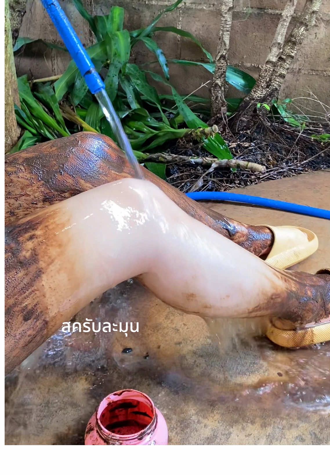 🎯🚗🎰🧲🧧🎈📮🧮❣️ #เธรดดูแลตัวเอง #รักตัวเอง #ดูแลผิว #สครับผิว #สครับละมุน 