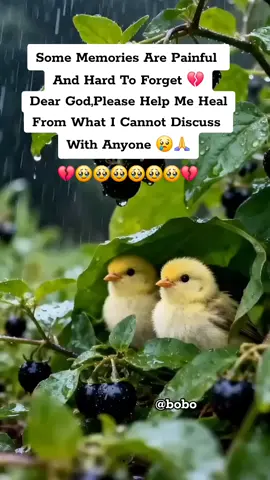 #viral #foryou #creatorsearchinsights #trendingvideo #fyp 