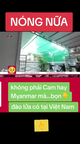 VinhHa#tintuc #giaitri #xuhuong 