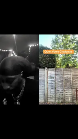 #duet with @lucwhatscooking #openversechallenge #undergroundtrapmusic #fypシ゚viral #roadto100k 