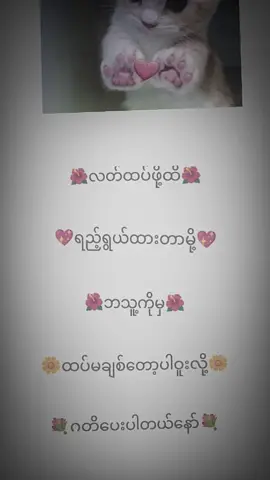 နော်‌နော် #Mt#like  #fyppppppppppppppppppppppp #foryou  #အချောလေးတွေစီရောက်စမ်း😍😍😍😘😘 