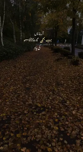 #allah #islam #muslim #quran #muslimtiktok 