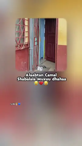 _😂#ՏᗩKI🤴🏻💙 #viralpost #CapCut #soomalitiktok 