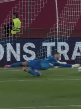 My Keeper 🇮🇹🧱 || Silenced the hater 🤫 || no copyright intended || tags: #fyp #viral #blowthisup #foryou #tottenham 