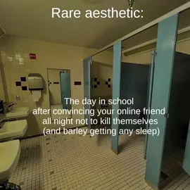 #rareaesthetic #onlinefriends #school #friends 